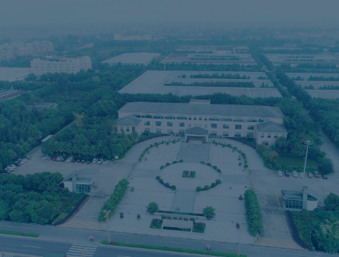 J9���λ�-������Ϸ��һƷ��